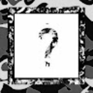 Meet your Posher, Irma